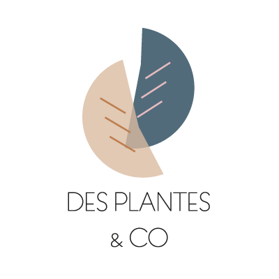 logo-DPC